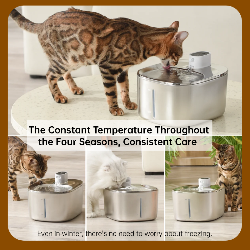 Best-Selling Wireless Smart Cat Fountain – Warm Water All Winter, Zero Cords, Just Comfort