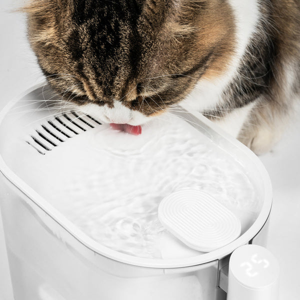 Upgraded Cat Water Fountain 2.0 with Constant Temperature Feature