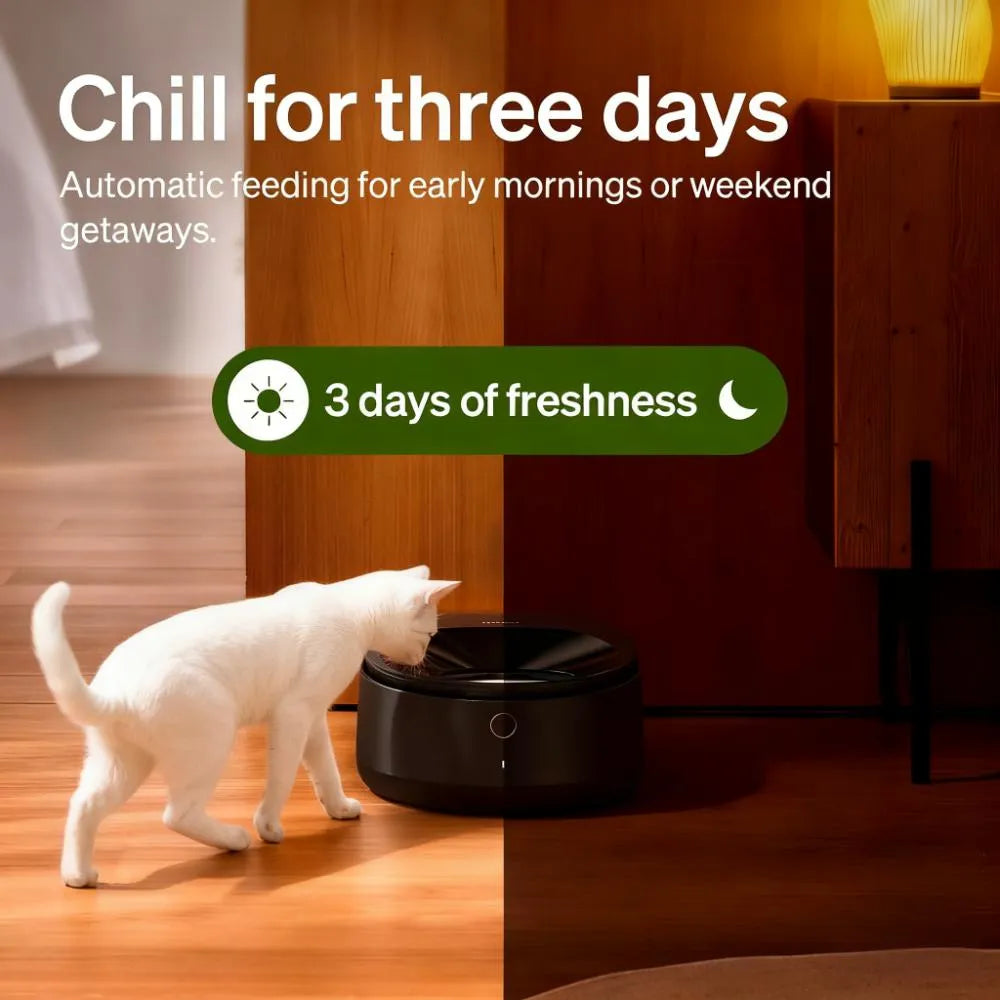 App-Controlled Wet Food Cat Feeder with Stainless Steel Bowl, Refrigerated 3-Day Meals, Semiconductor Cooling, Easy Cleaning