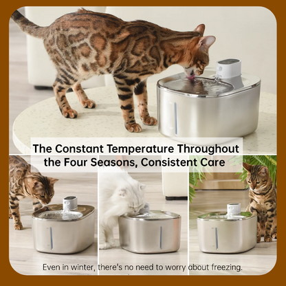 Best-Selling Wireless Smart Cat Fountain – Warm Water All Winter, Zero Cords, Just Comfort