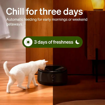 App-Controlled Wet Food Cat Feeder with Stainless Steel Bowl, Refrigerated 3-Day Meals, Semiconductor Cooling, Easy Cleaning